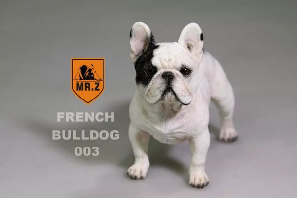ブルドッグおじさん Serious Purchase] Total of ○○○○ million yen!? BULL DOCK