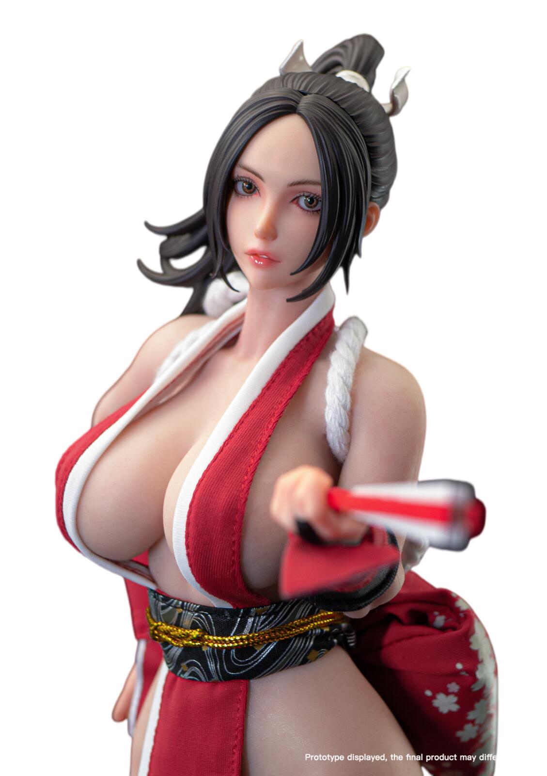 Ninja Cat Shiranui Mai 1/6 動き図形 N001 BR5517K