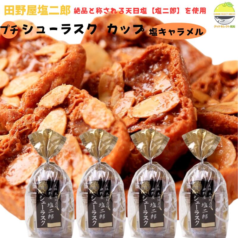 楽天市場】ギフト お菓子 洋菓子 田野屋塩二郎プチシューラスク