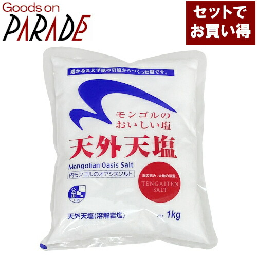 天然湖塩 天外天塩 1kg ２０個セット