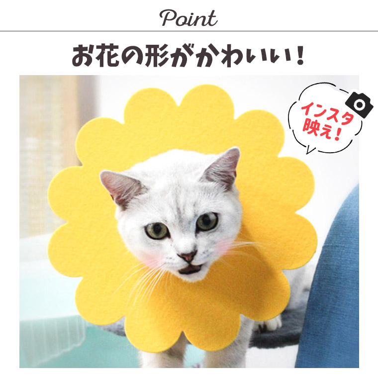 楽天市場 エリザベスカラー ソフト 猫 柔らかい お花 かわいい 術後ウェア 傷口保護 サイズ調節 フェルト 小動物 ペット 首輪 人気 新作 送料無料 ファッション おしゃれ 8z47 Zakzak 楽天市場店