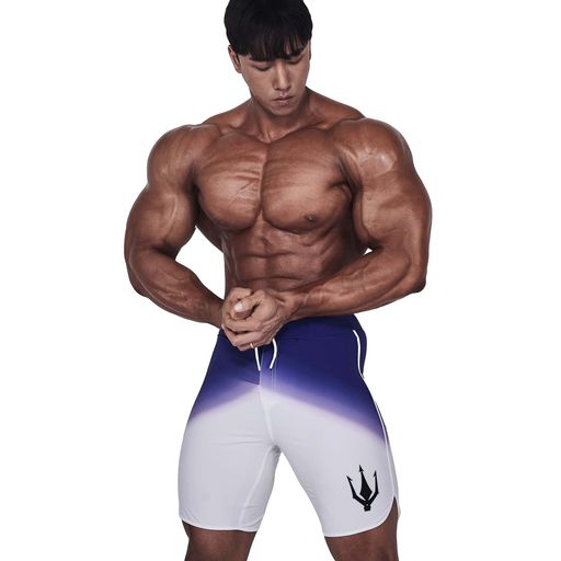 楽天市場】[FIED] ファイド 15インチ メンズフィジークボードショーツ