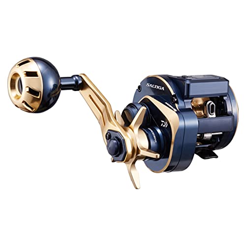 ダイワ(DAIWA) 21 ソルティガ集積回路 100