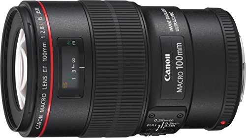 キヤノン Canon 単興味の中心マクロ命令水晶体 キヤノン EFマウント EF100粍 F2.8L マクロ命令 IS USM フルサイズ相応う