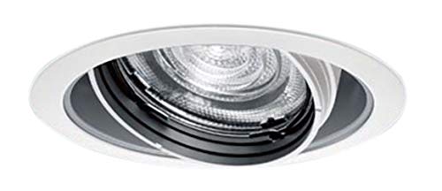 パナソニック TOLSO SERIES LED注目の的 配光合わせる役立つこと付 φ100 200形 原則として光色 白いこと 白熱電球色 NTS62003W