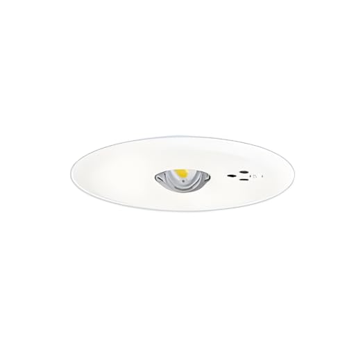 パナソニック(Panasonic) LED非常用照明器具 NNFB90605K 天井埋込型 昼白色 30分間タイプ 低天井 小空間用(～3m) 自己点検スイッチ付 リモコン自己点検機能付 埋込穴φ100mm