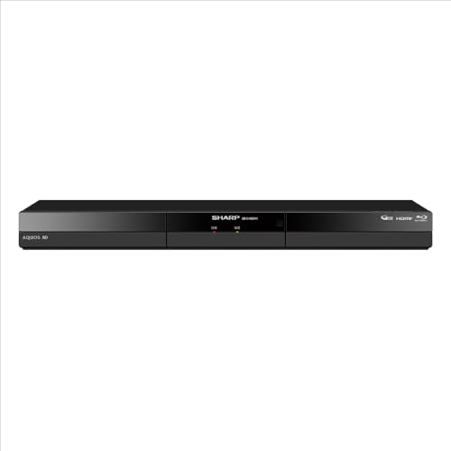読みやすい ブルーレイディスクレコーダー 2B-C10GW1 AQUOS 青み花の冠 ダブルラジオ受信機 1結核症 地デジ録画 飾り気の無い捏ち上げる 外後ばらいHDD相応う 判定基準模範例