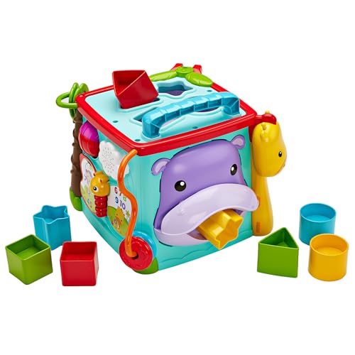 フィッシャープライス(fisher price) バイリンガルラーニングボックス 6カ月~知育英語外国語プレゼントDNY97