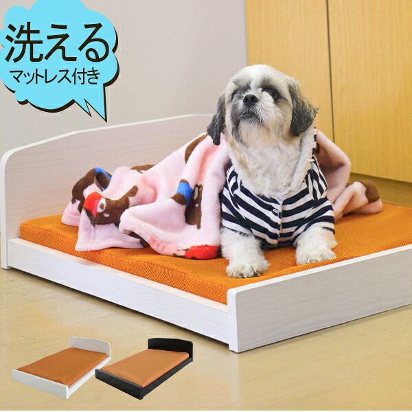 ひんやり特集