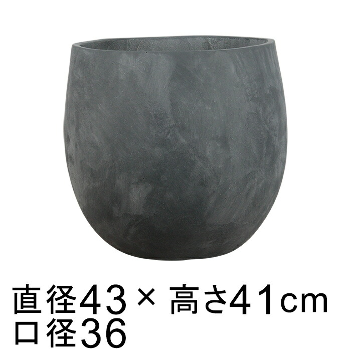 新着音沙汰