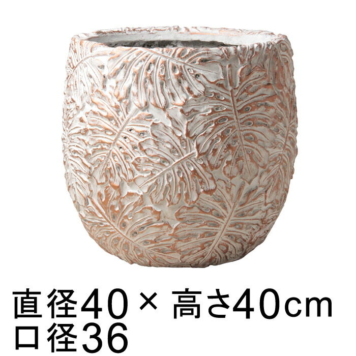 新着音沙汰