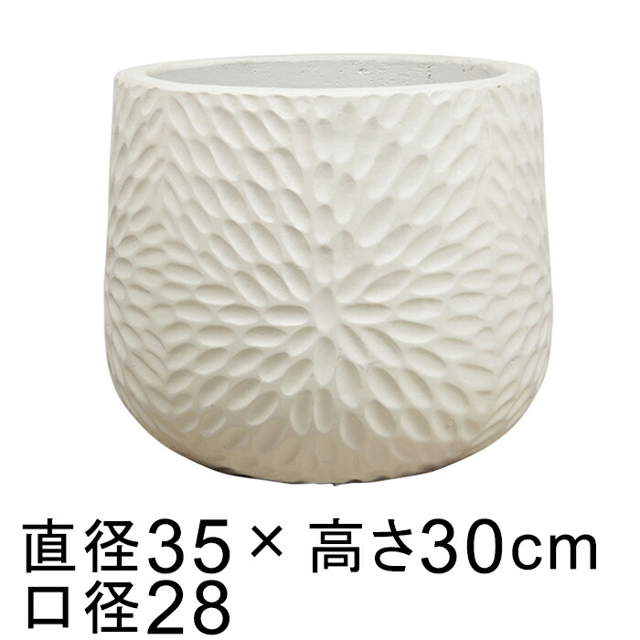 新着音沙汰