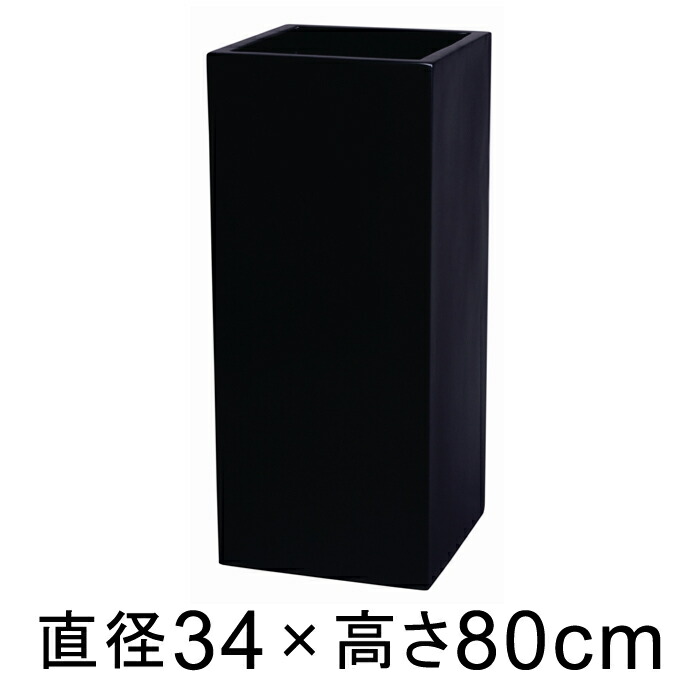 新着音沙汰