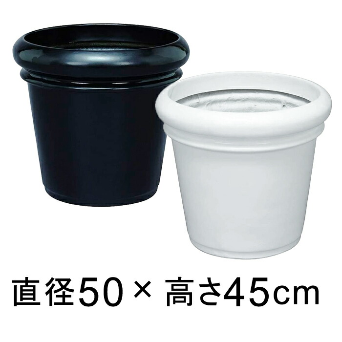 セラプラス 50型 つや有