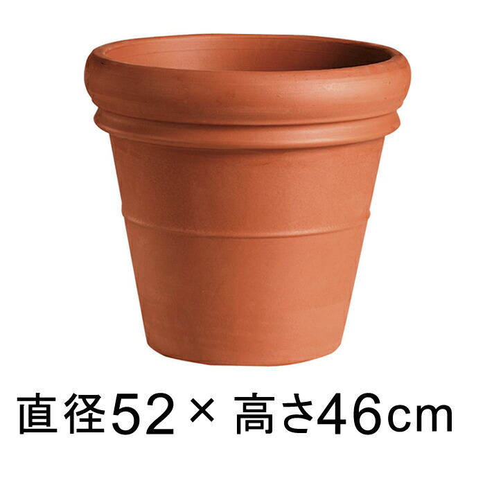 新着案内書