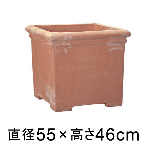 新着知らせ