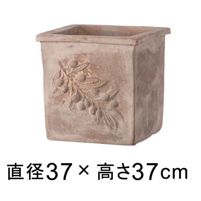 新着知らせ