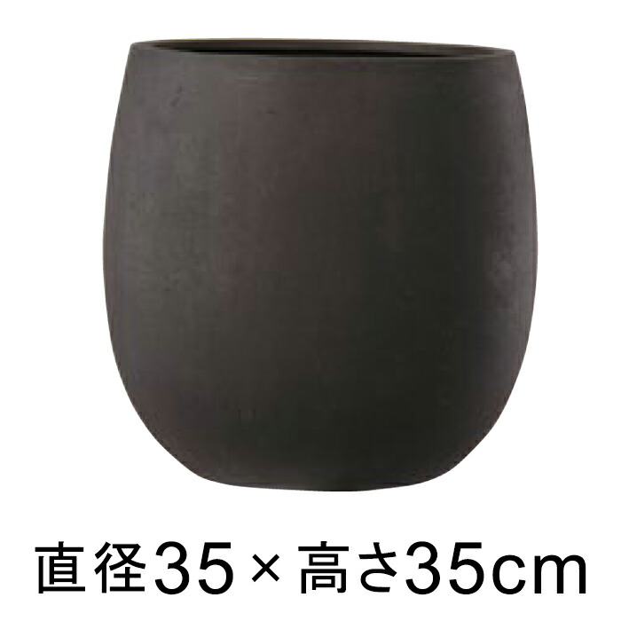 新着知らせ