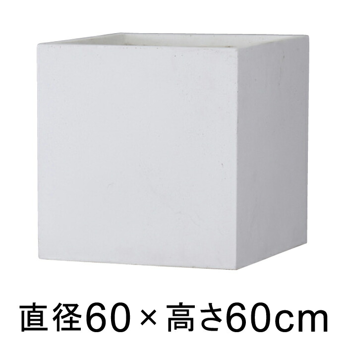 新着知らせ
