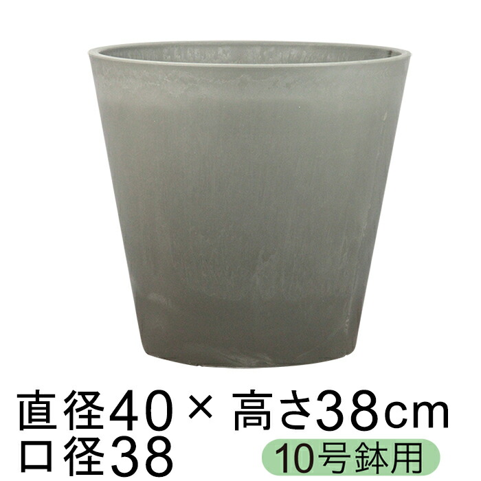 新着音沙汰