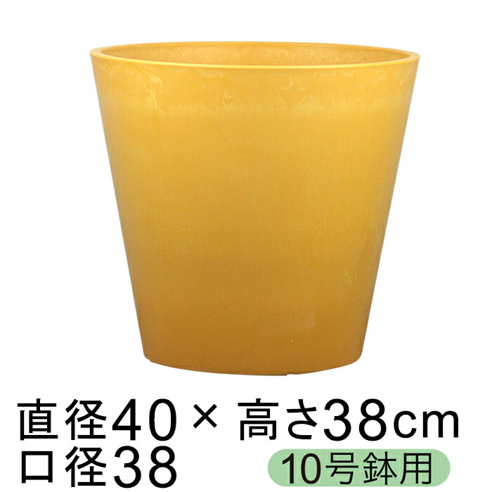 新着音沙汰