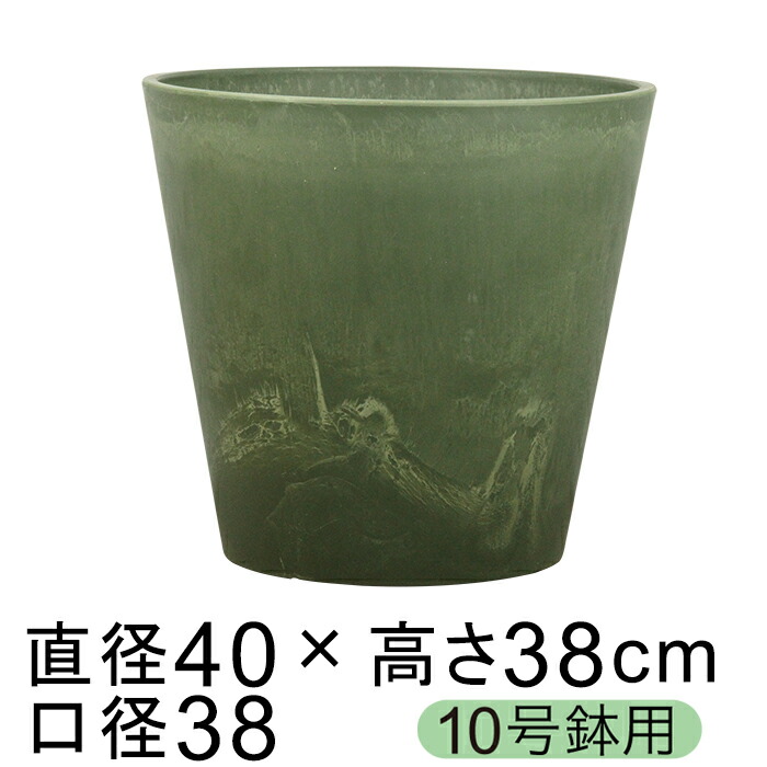 新着音沙汰