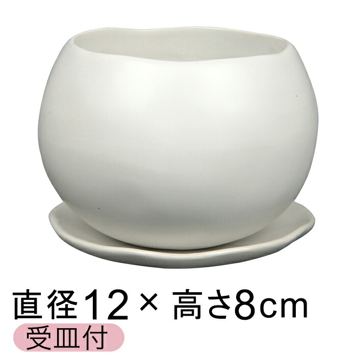 楽天市場】陶器鉢 植木鉢 おしゃれ マリナ 白 L 14cm 受皿付 陶器