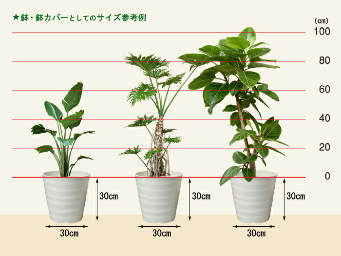 フレグラーポット 30cm フラワーポット いなせ 10号数 アイボリー 14リットル サイズが合えば 丼鉢庇保としても役だてる適切 ホーム内 戸外 可塑性物質 軽妙 Nobhillmusic Com