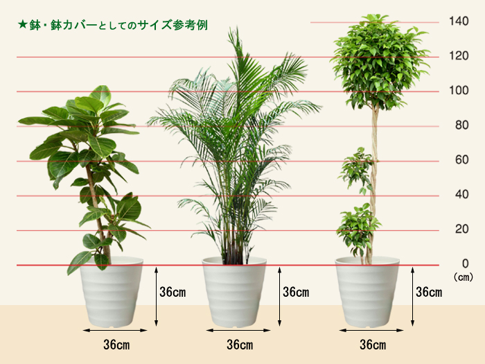 楽天ランキング受賞 フレグラーポット 36cm 12号 鉢 プラ鉢 植木鉢 ガーデニング鉢 プランター鉢 鉢カバー ガーデニング プランター フレグラー 観葉植物 24リットル 室内 屋外 プラスチック 軽い 大型 おしゃれ オシャレ かわいい カワイイ シンプル アイボリー