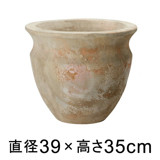 新着音沙汰