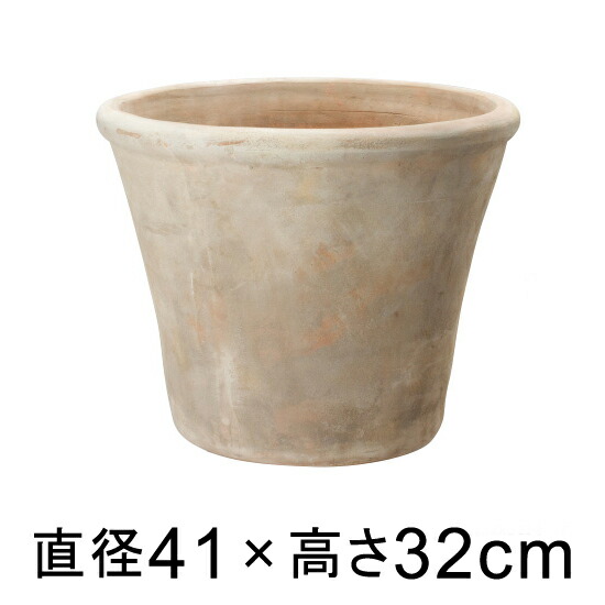 新着音沙汰