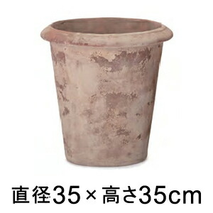 新着音沙汰