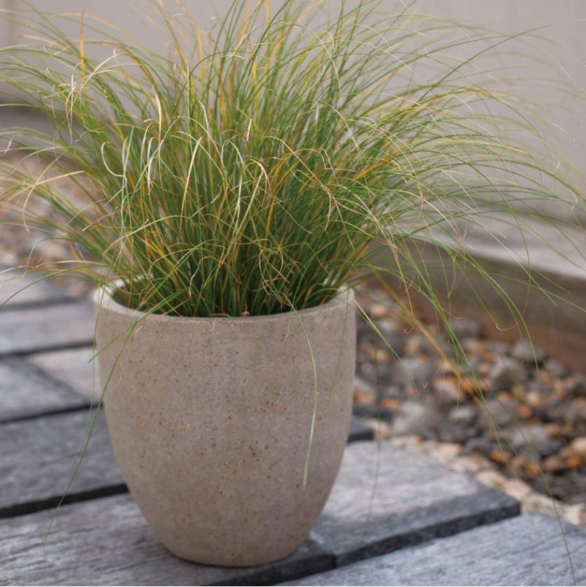 楽天 楽天市場 大型 おしゃれ 植木鉢 コーテス ラウンド ベージュ 50cm メーカー直送 日時指定不可 同梱不可 代引不可 返品不可 プロフェッショナル 植木鉢 鉢カバー専門店グーポット 送料無料 Blog Personeriacartagena Gov Co