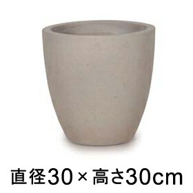 新着案内書