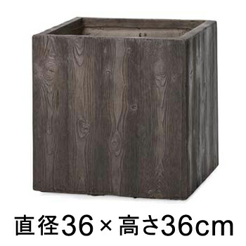 新着知らせ