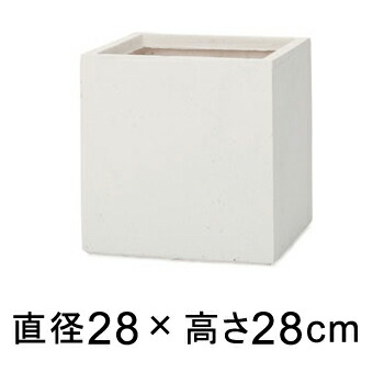 新着案内書