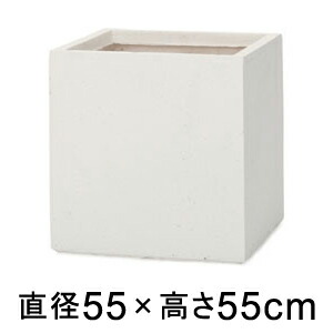 新着案内書