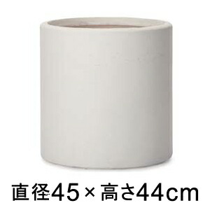 新着音沙汰