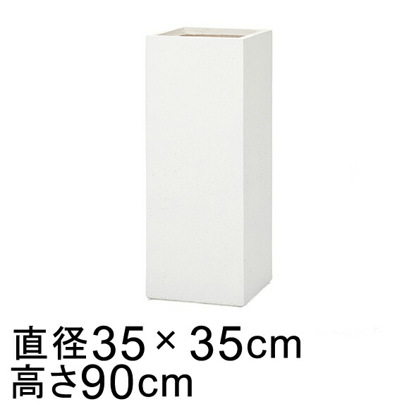 新着知らせ