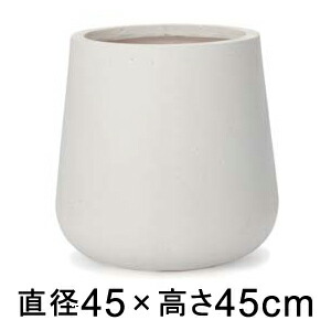 新着知らせ