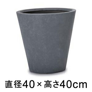 新着知らせ