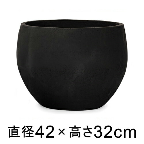 新着知らせ