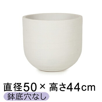 新着音沙汰