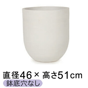 新着音沙汰