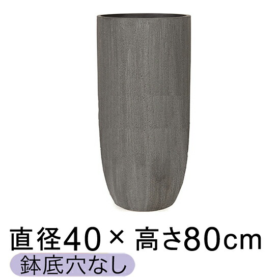 新着音沙汰