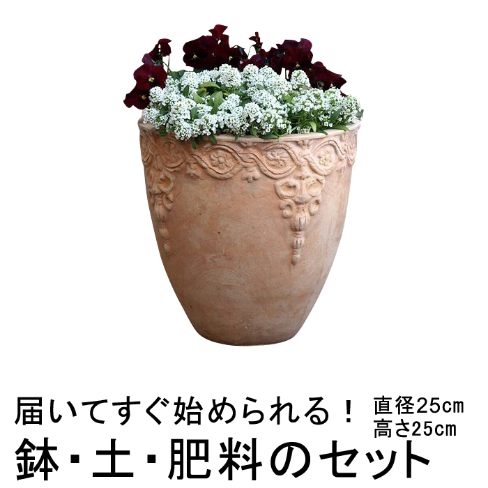 おしゃれ 植木鉢 土 肥料のセット 模様入り 丸型hm白粉 素焼き鉢 テラコッタ 鉢 小 25cmと培養土と鉢底石と鉢底ネットと肥料のセット Educaps Com Br