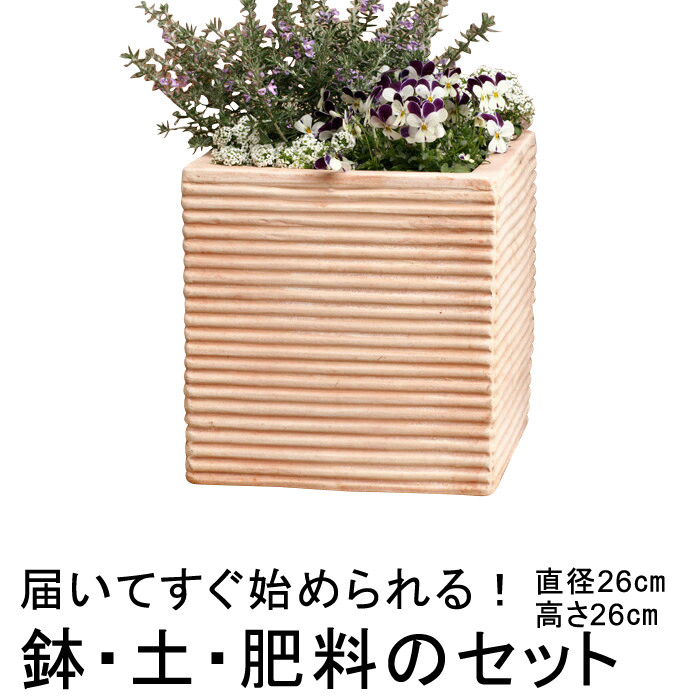 茶色の陶器製四角鉢　落款あり 中型 楽天市場】盆栽鉢 陶器 4〜5号 ナデ角 おしゃれ 専門店 ミニ
