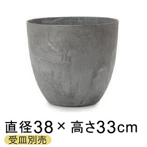 新着知らせ
