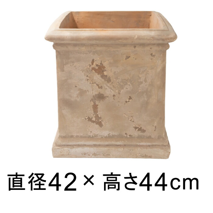 新着案内書