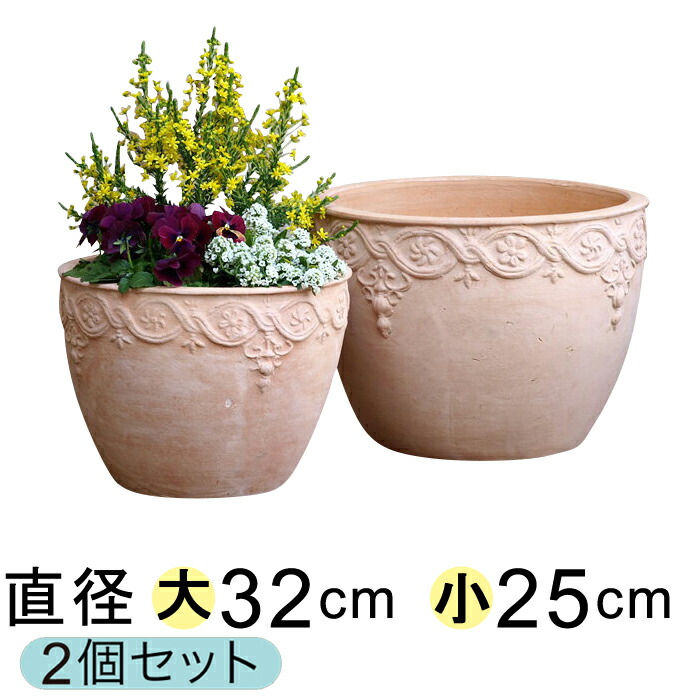 みさきとまと　紅白梅　素焼き陶器鉢つき hm20.jpg